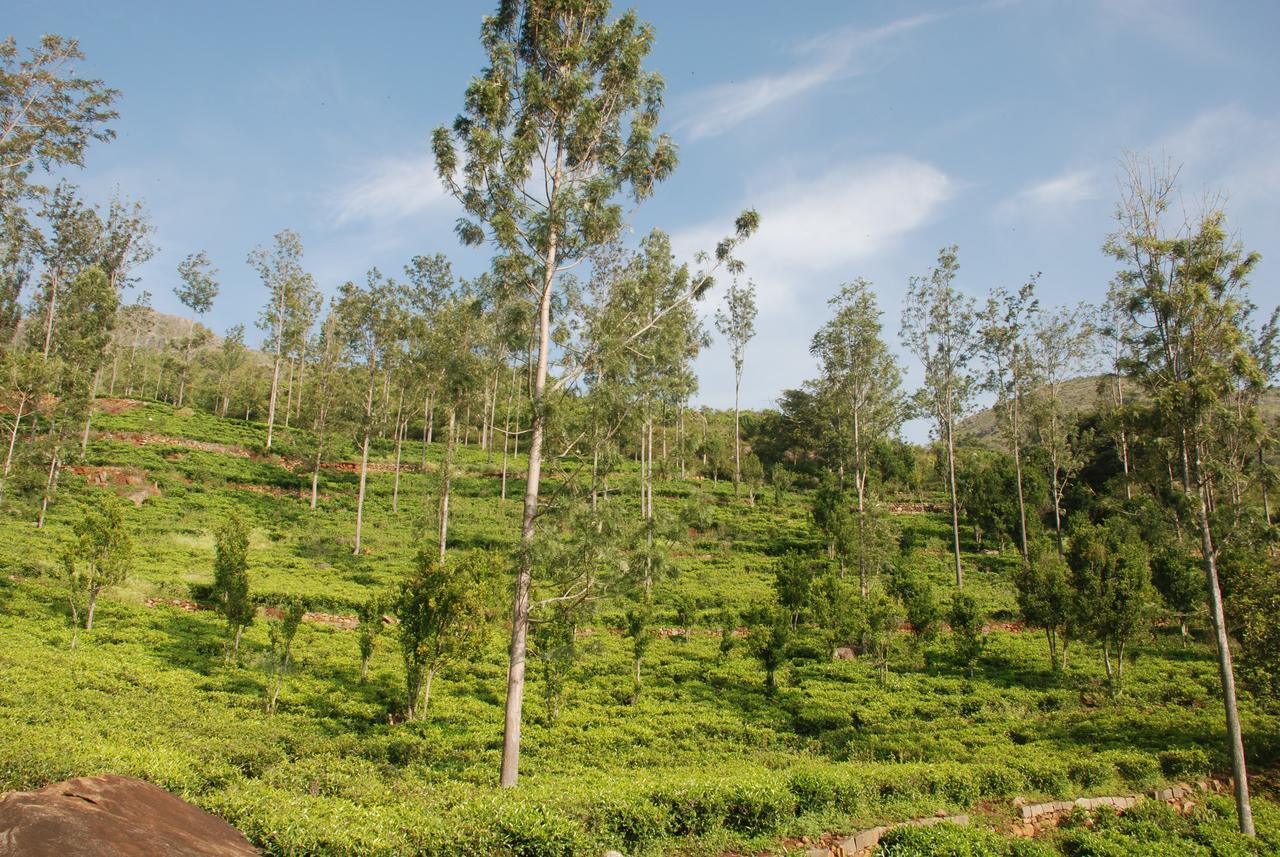 Relaxing 2 B/R Estate House, Deenaty, Tamil Nadu Coimbatore Exterior photo